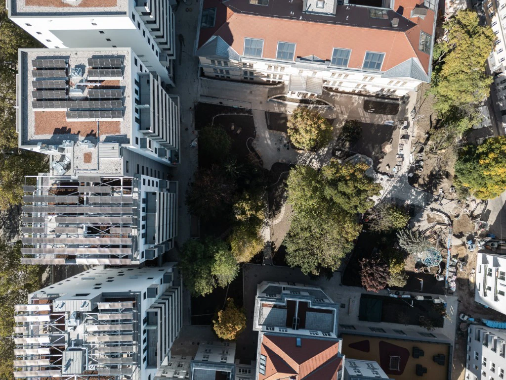 Sophie Web 3 (Mittel)