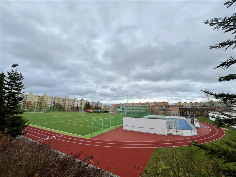 Rekonstrukce sportovního areálu ZŠ, ul. Kralovická, Plzeň - Specijaliziranost i stručnost