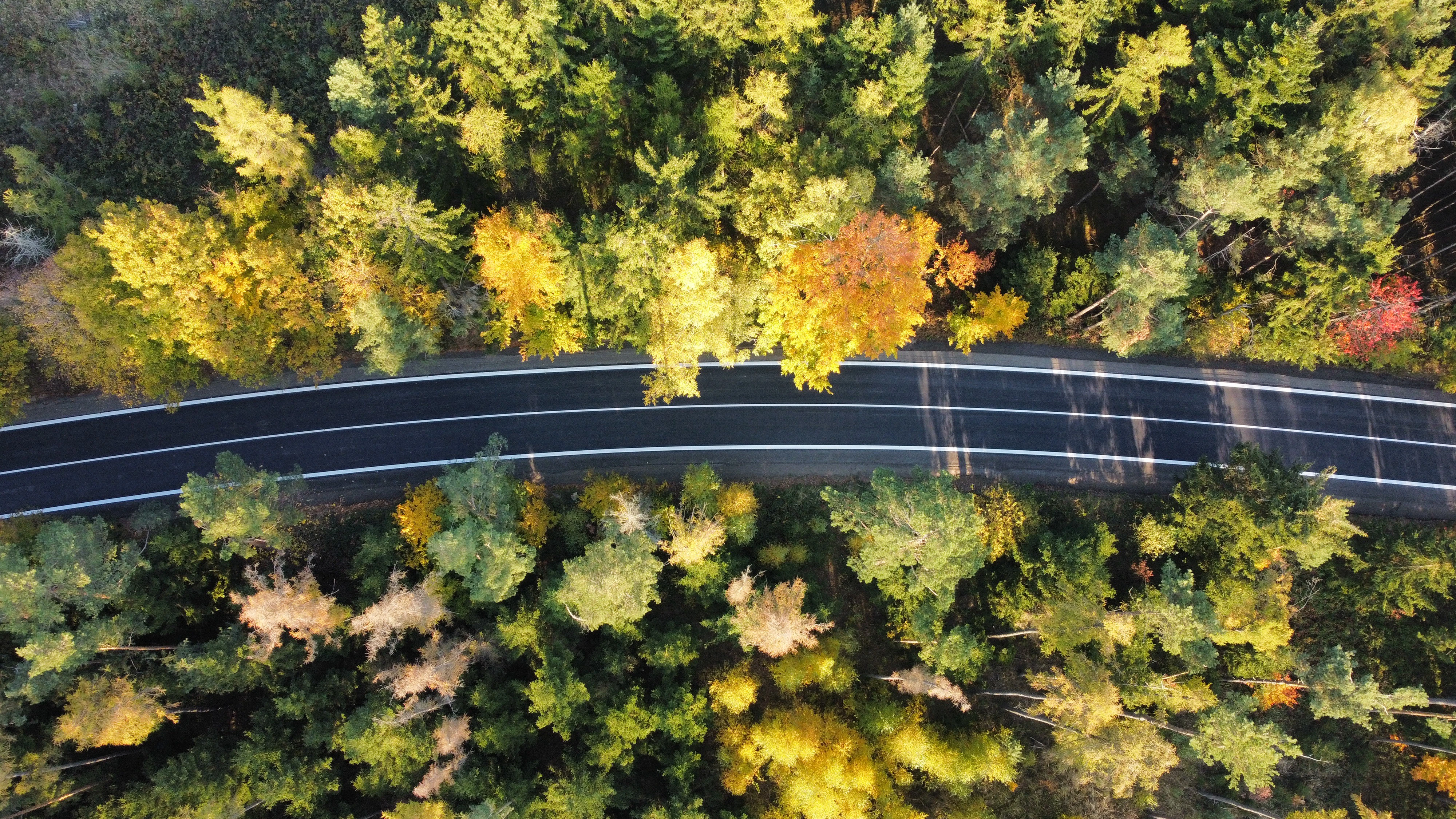 Reconstruction of Road II395, Zastávka, CZ