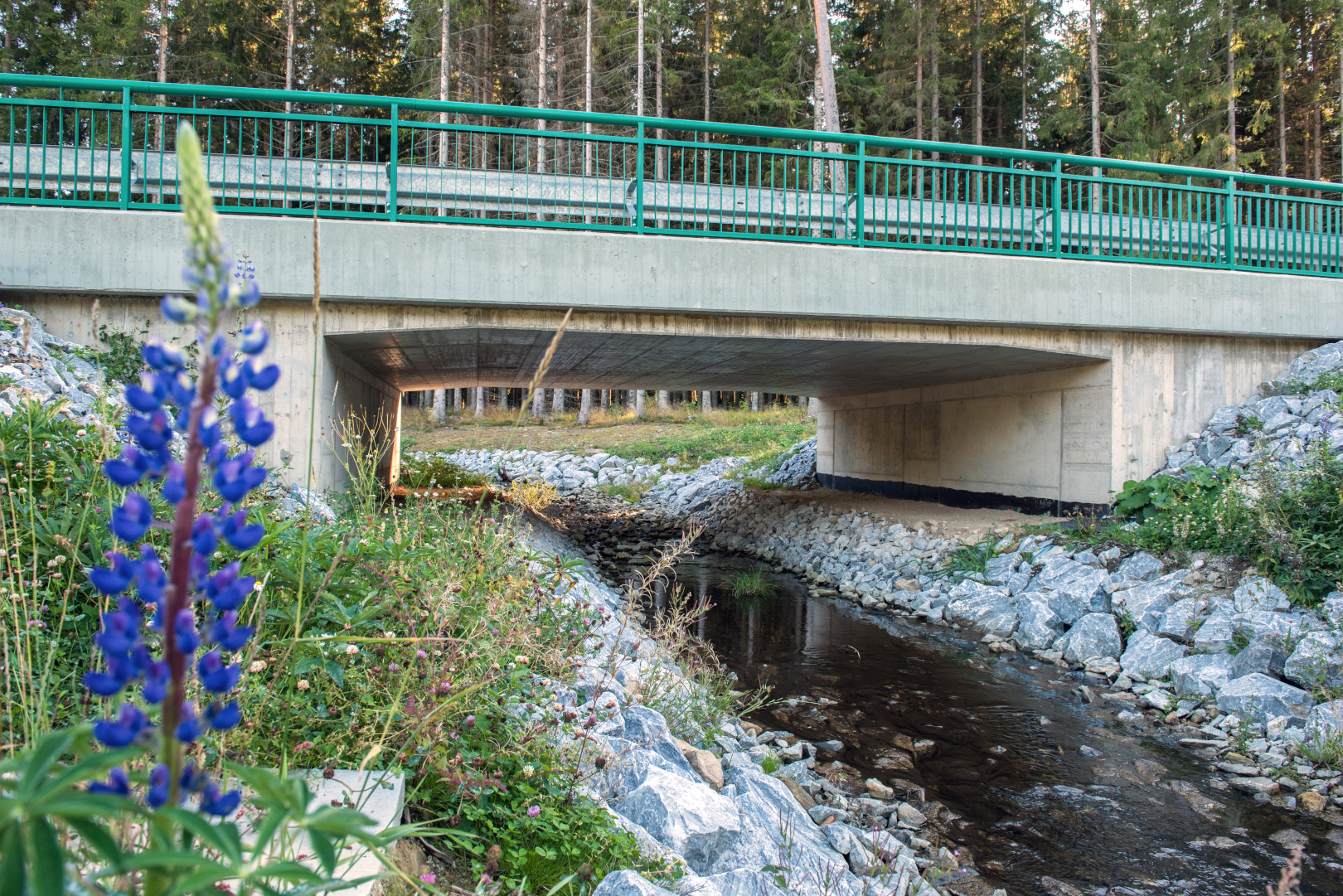 Zadní Zvonková – modernizace přístupu k hraničnímu přechodu CZ/AT - Izgradnja cesta i mostova