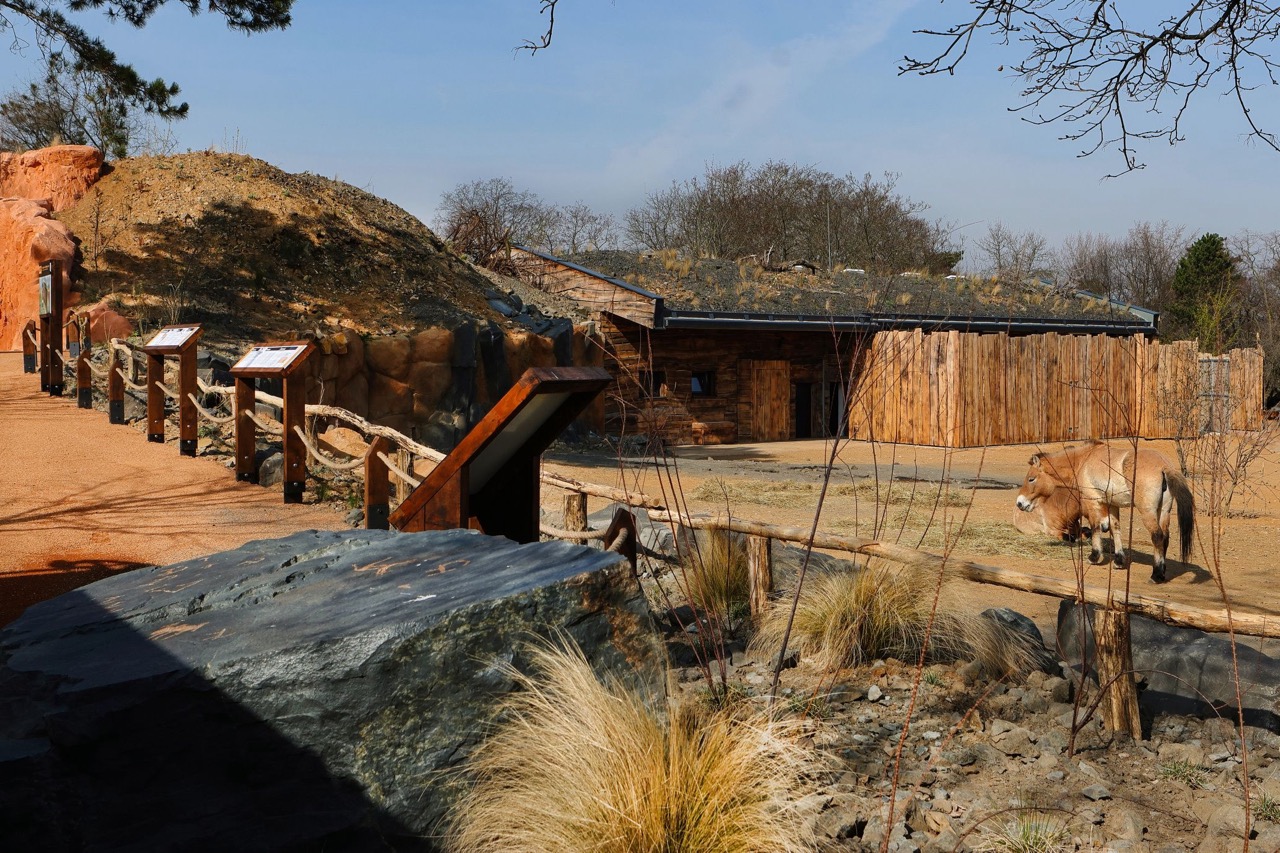 Zoo Praha – výběhy a stáje koní Převalského, pavilon drobných savců a plazů, voliéry manula - Visokogradnja