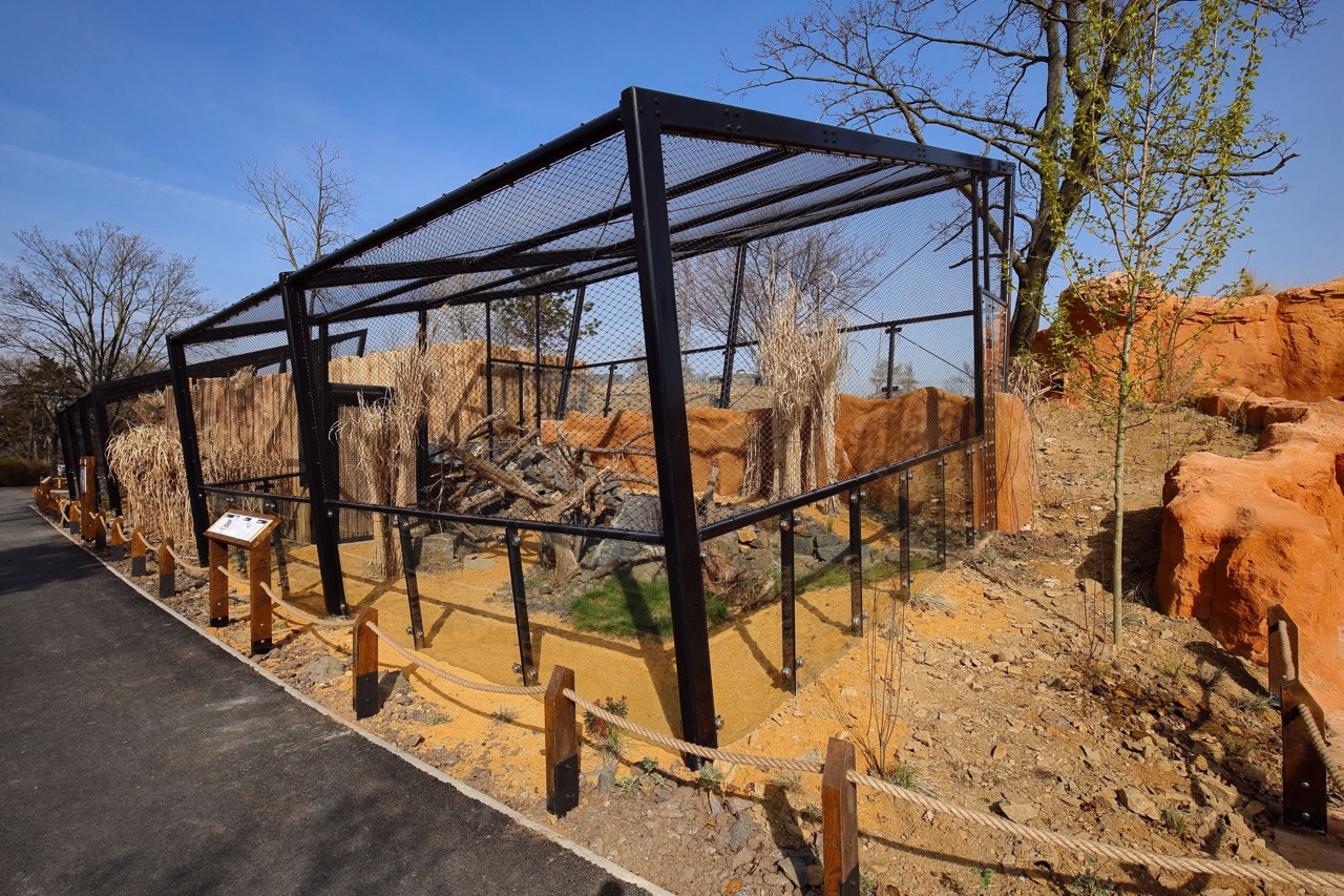 Zoo Praha – výběhy a stáje koní Převalského, pavilon drobných savců a plazů, voliéry manula - Visokogradnja