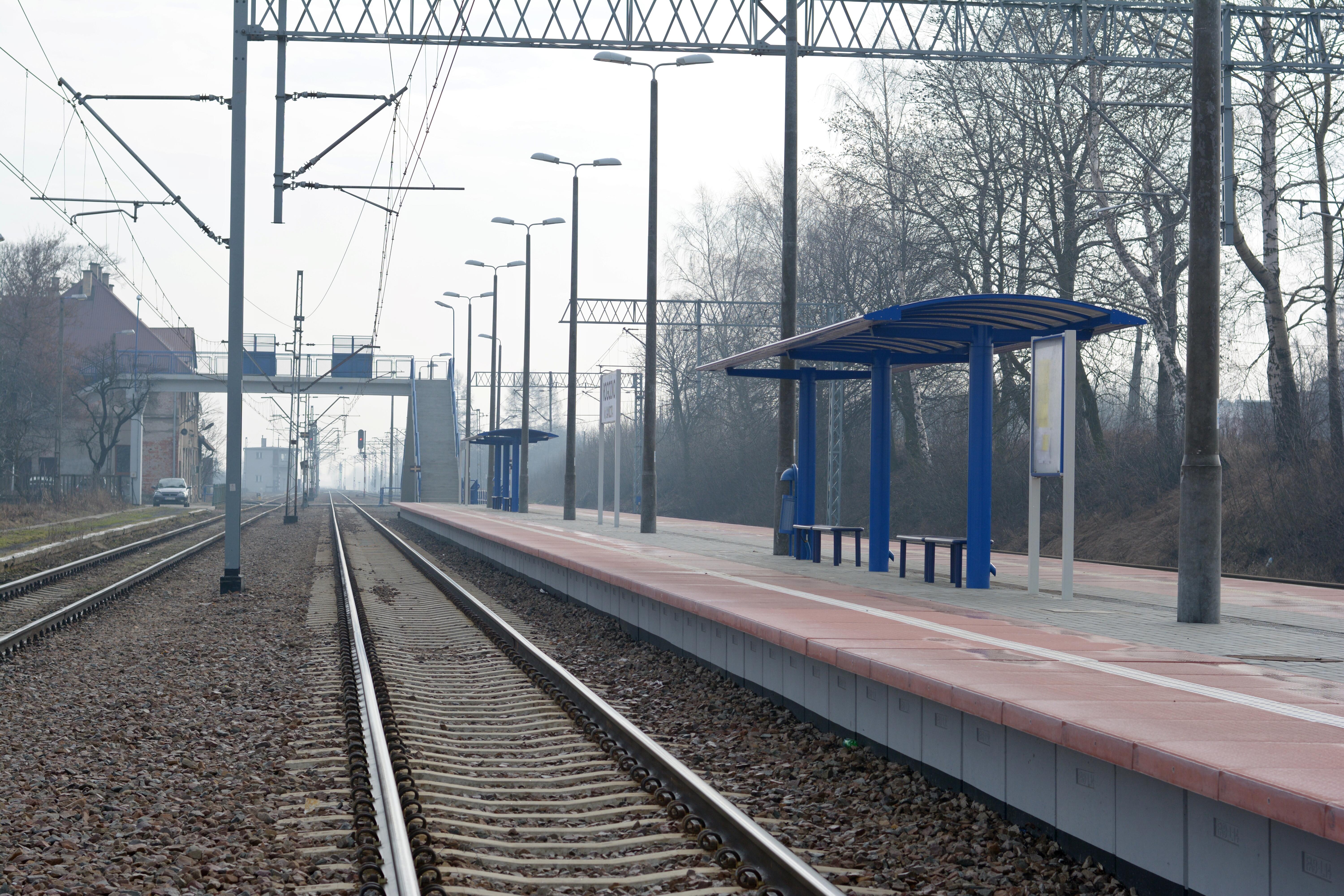 Linia nr 91 – stacja Strażów i Rogóżno oraz odcinek Munina – Radymno – Żurawica - Izgradnja željezničke infrastrukture
